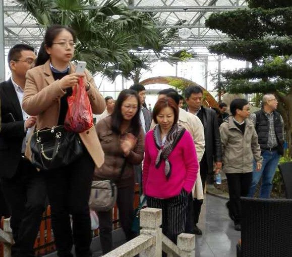 382673276299026016_副本