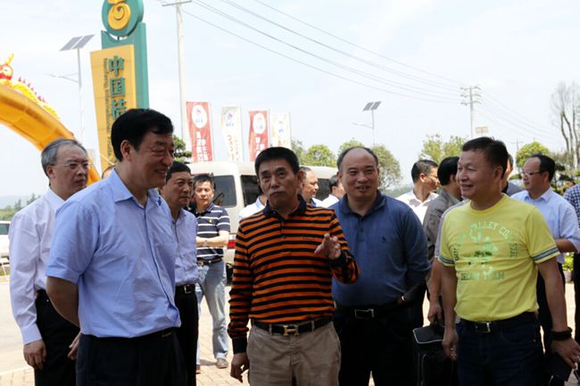 459521287560163842_副本